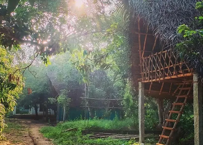 Art Forest