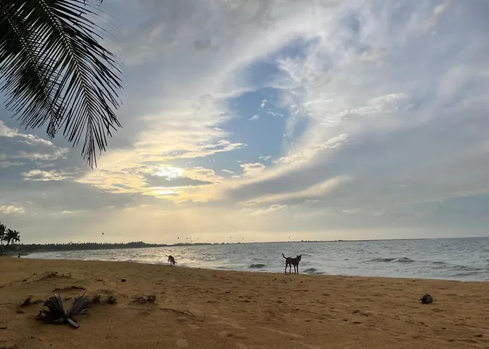 Sea Sand Resort