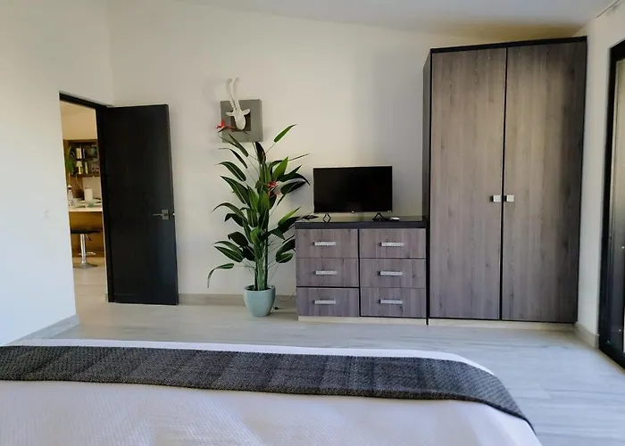 Unit 216-Casa Ricardo-Ocean View Renovated