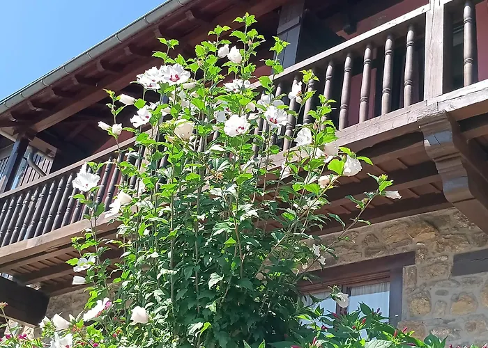 Apartamentos Calm&Nature - Adults Only