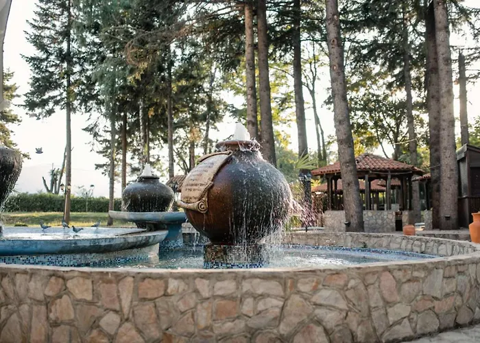 Hotel Drim & Spa