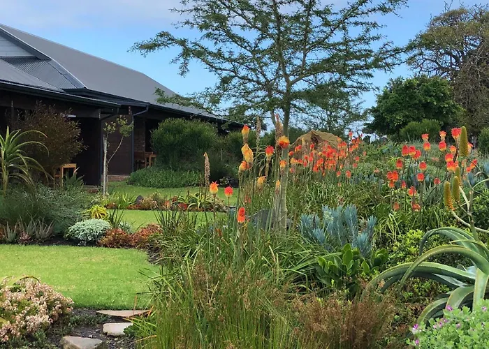 Hotel Olivewood