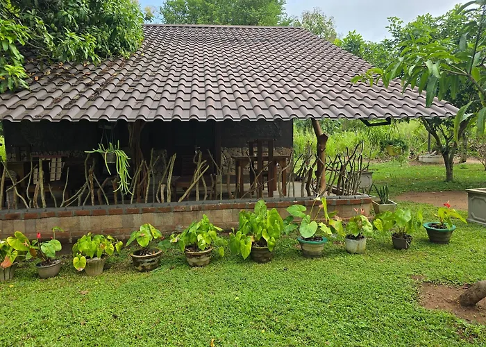 Ceylon Wilpattu Safaris & Lodging