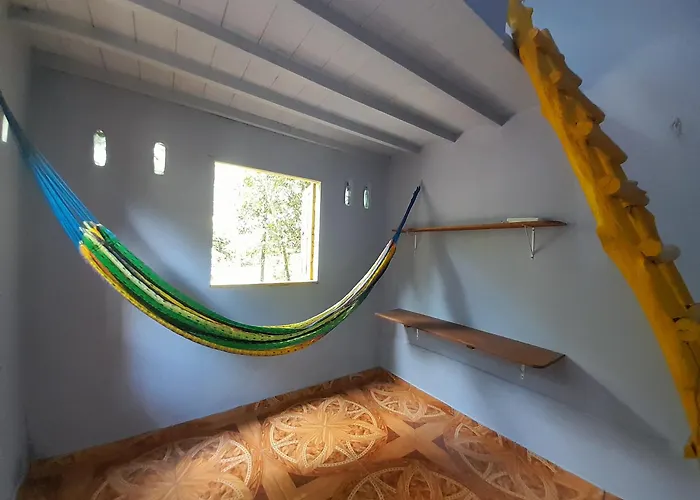 Caminho das pedras-Medicina, Consciência e espiritualidade- Hospedaria na floresta com saída ao Igarapé