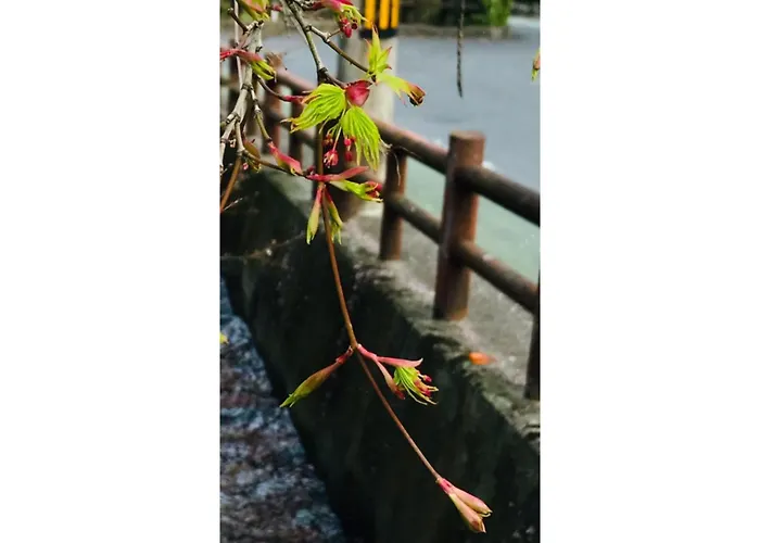 Guest House Mitaki - Vacation Stay 13255V