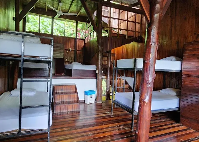 Hostel Plinio