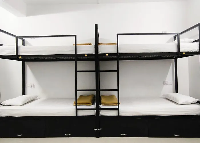 Hostel Stayzo