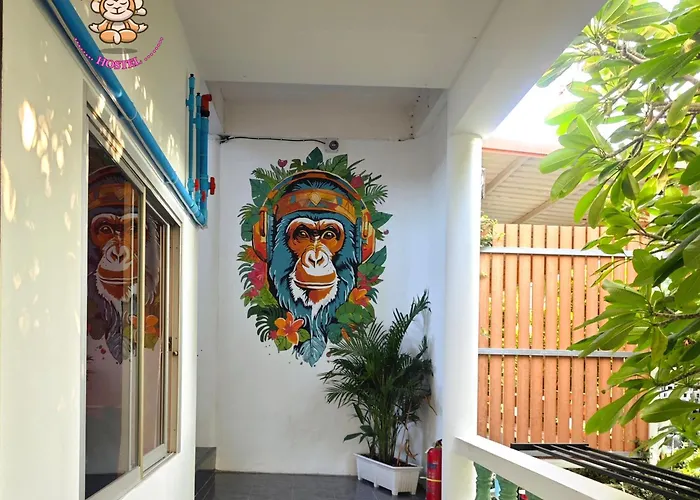 The Funky Monkey Hostel - 18 To 40 Years Old Only