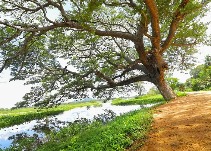 Lake Lower Hotel & Yala Safari