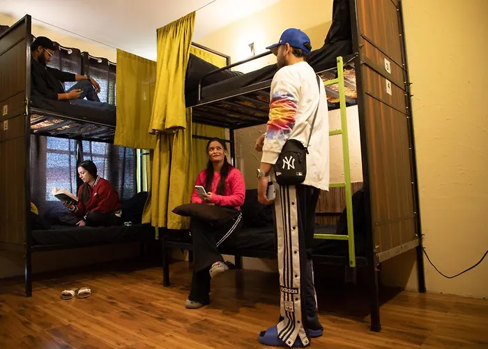 Trippy Turtle Hostel