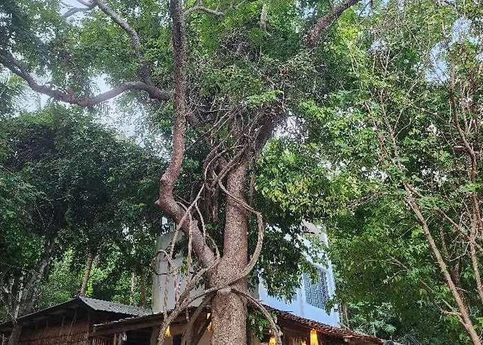 Bice Hostel Darocotan