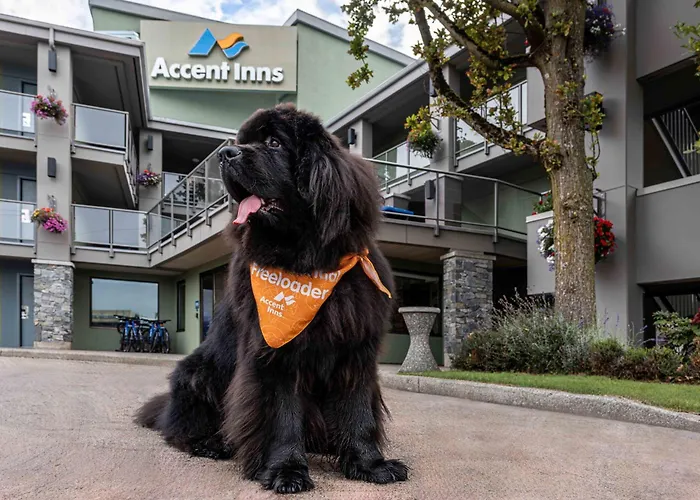 Accent Inns Vancouver Airport