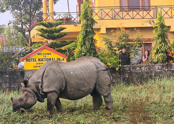 Hotel National Park Sauraha- Homely Stay And Peaceful Location With Jungle Safari Arrangements