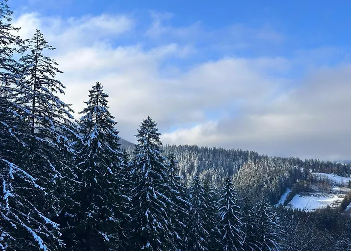 The Pines Bucegi Lodge