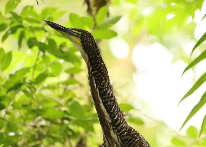 Rio Quijos Ecolodge