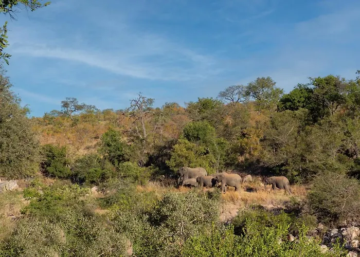 Motswari African Retreat & Walking Safaris By Newmark