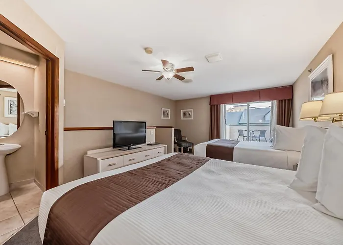 Stony Plain Inn & Suites