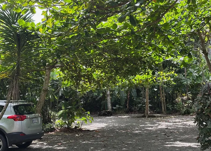 Hotel Suizo Loco Lodge & Resort