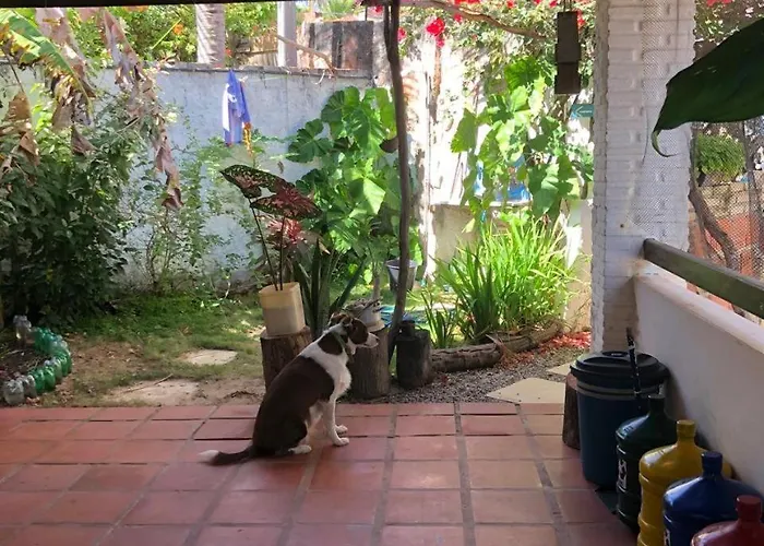 Hostel 35 Canoa Quebrada