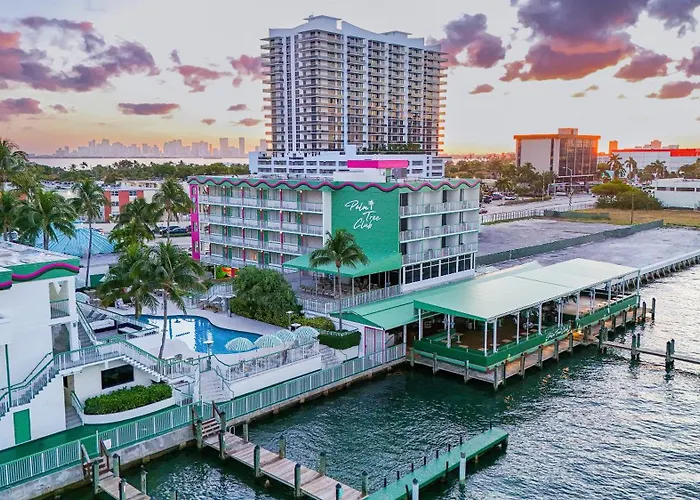 Palm Tree Club Miami
