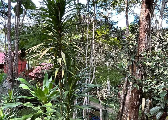 Sitio Chale Da Mata - Circuito Caravaggio, Santa Teresa
