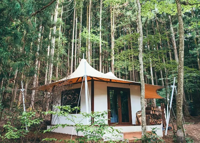 Lateral - Vacation Stay 36605V