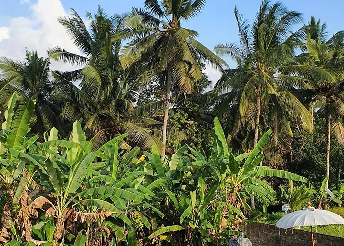 Ubud Rice Field House