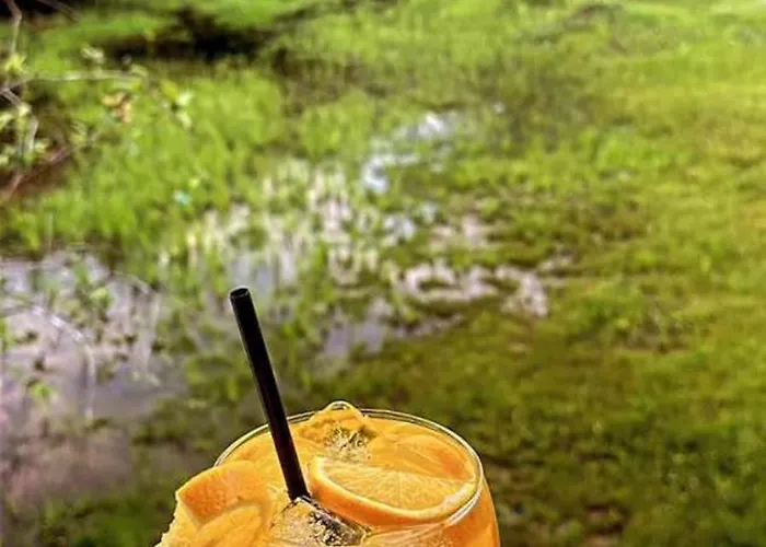 Chácara Tropical entre em contato com o estabelecimento
