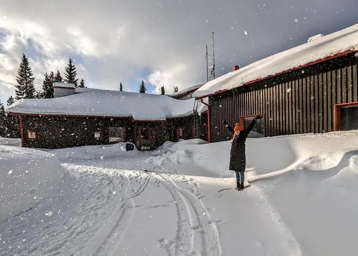 Arctic Nest Forest Cabin