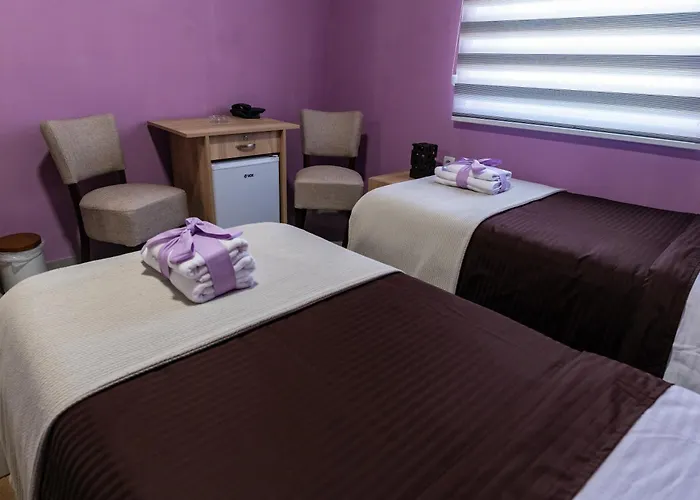 Smestaj & Spa Protic