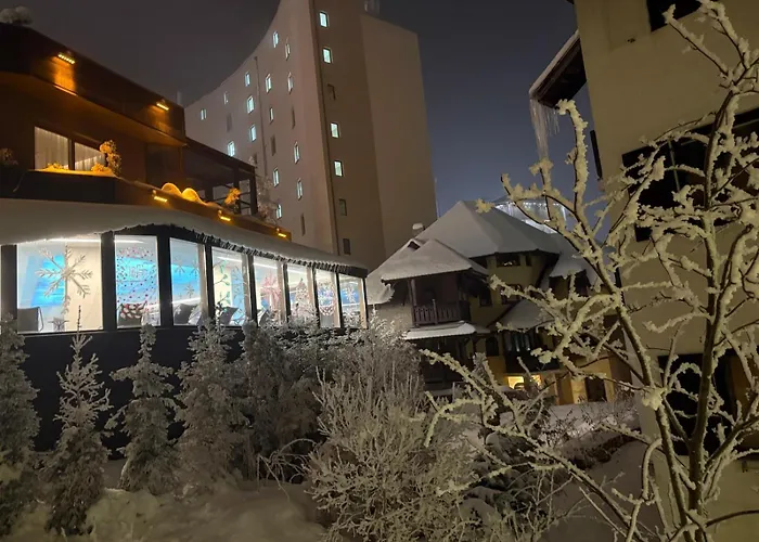 Vila Borova Wellness&Spa Resort