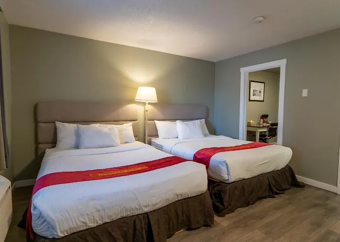 Ace Motel
