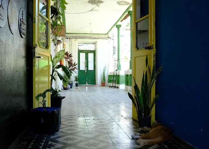 Hostel Divino Do Carmo
