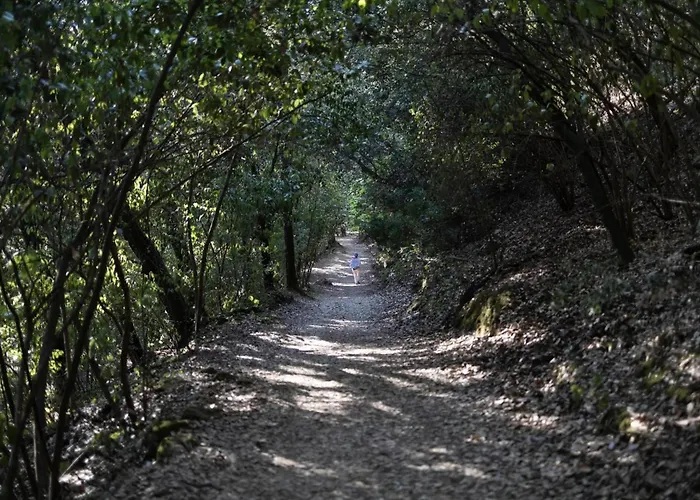 Oasi Francescana Sant'Ignazio Da Laconi