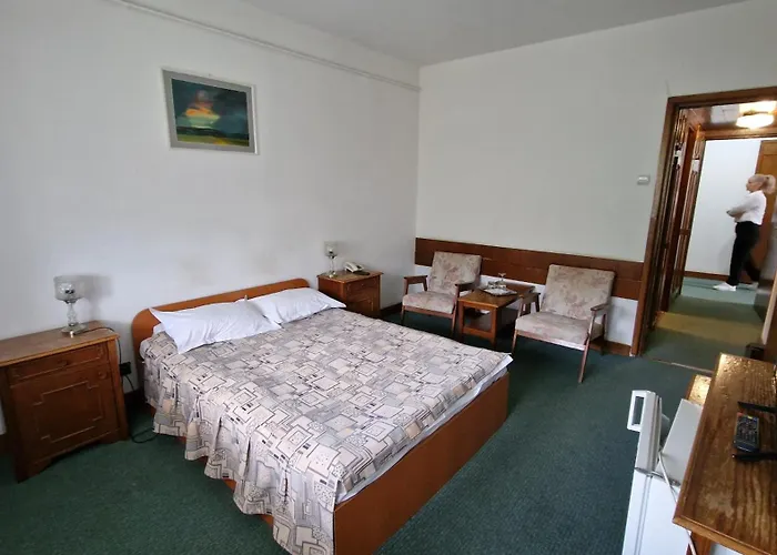 Hotel Bradul - Covasna