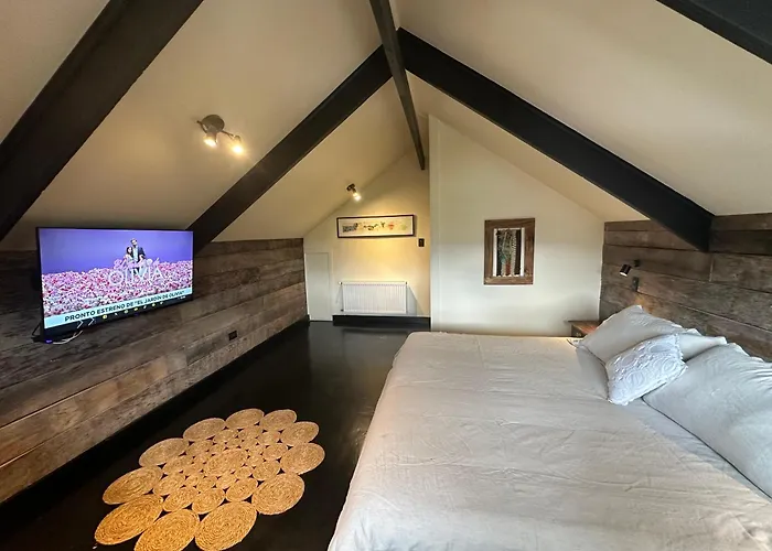 Newen B&B