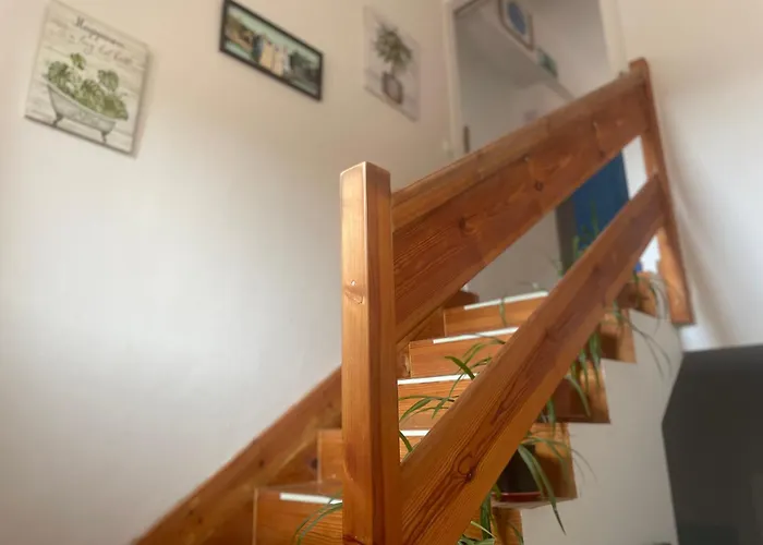Las Hadas Albergue -Solo Para Peregrinos - Vegano -Bar