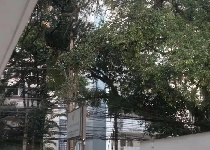 Luz De Regina Bahia