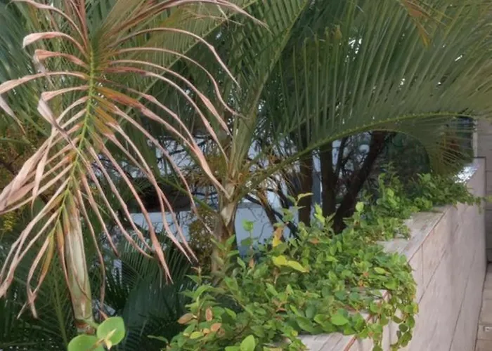 Luz de Regina Hospedagem Quartos
