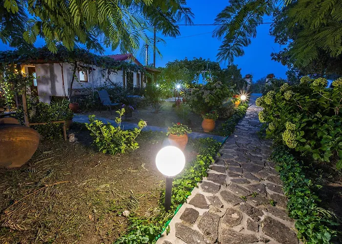 Alekas Studios