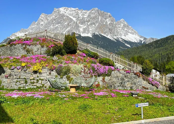 Alpinum Hostel