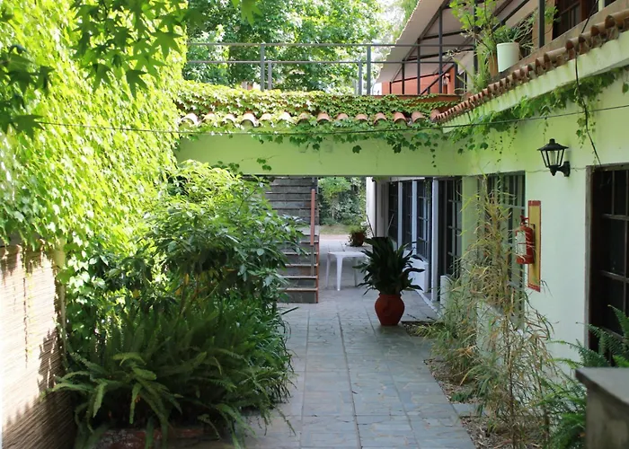 Hotel La Ballena