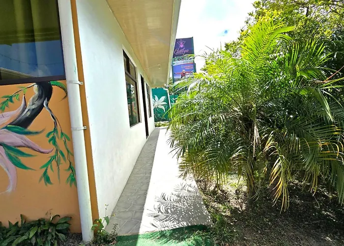 Hostel Cattleya - Monteverde, Costa Rica