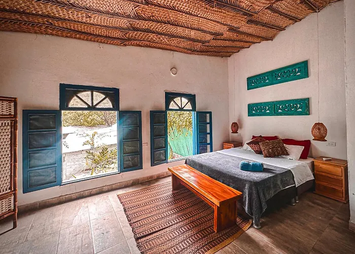 Hotel Renasci Palomino