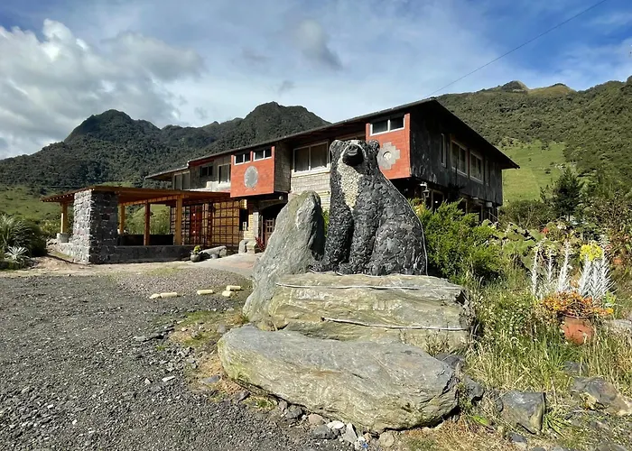 Sol De Piedra