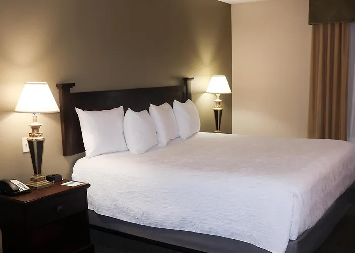 Wingate By Wyndham Peoria - Complimentary Area Shuttle