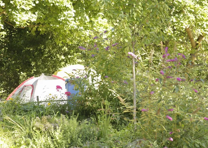 THE TENT - Youth Only - Buchung leider nur bis 30 Jahre möglich!