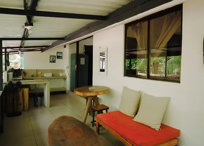 Zeneidas Surf Garden