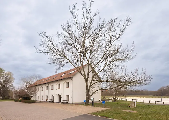 Vadkert Major