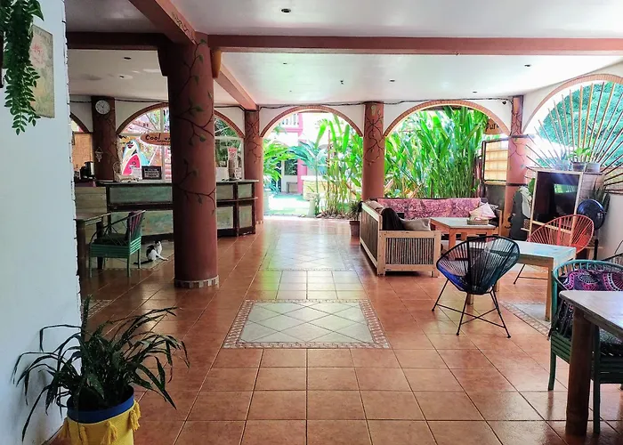 Cool Vibes Beach Hostel